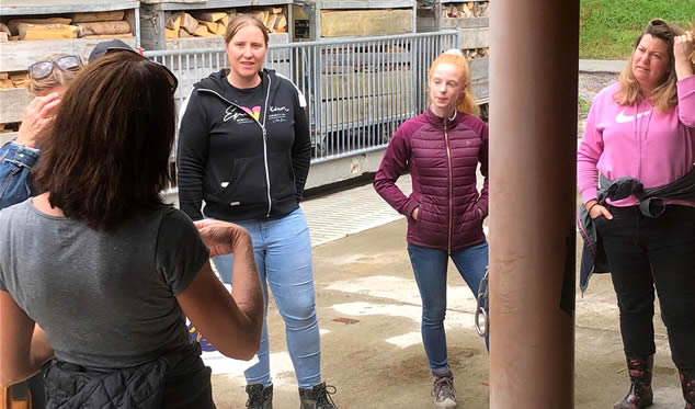 Forschungsgruppe Equiden