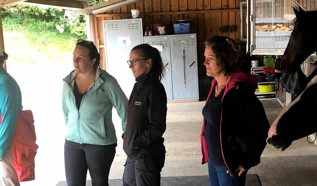 Forschungsgruppe Equiden