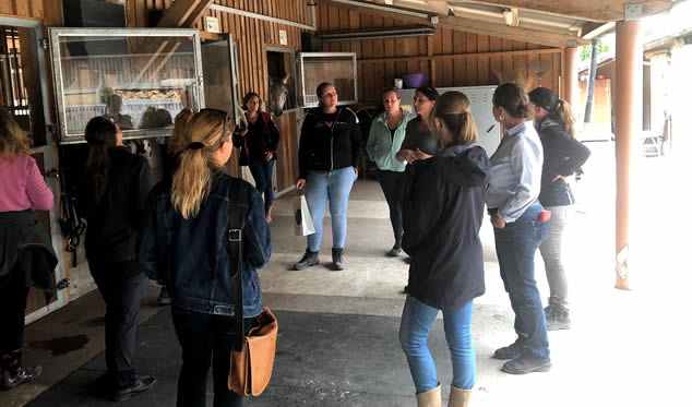 Forschungsgruppe Equiden