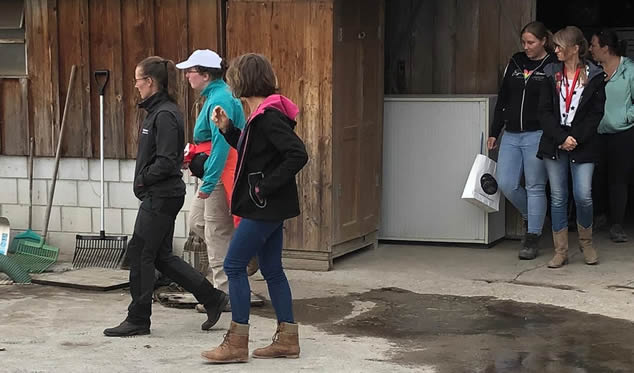 Forschungsgruppe Equiden