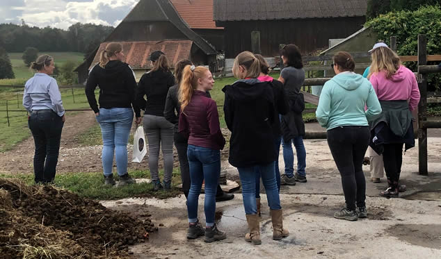 Forschungsgruppe Equiden