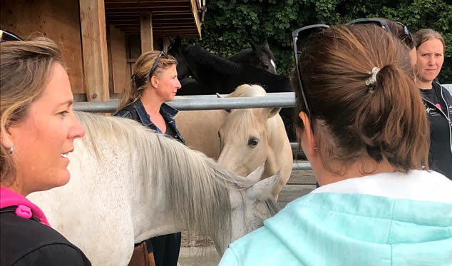 Forschungsgruppe Equiden