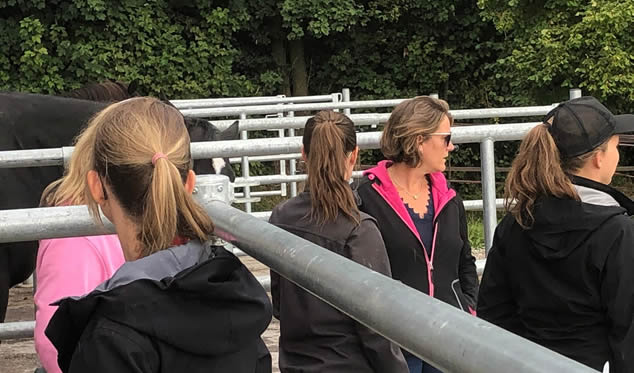 Forschungsgruppe Equiden