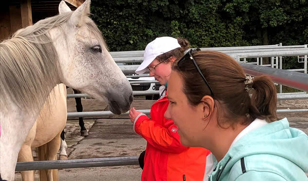 Forschungsgruppe Equiden