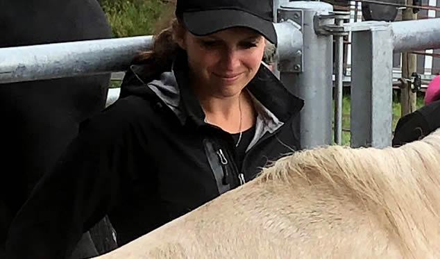 Forschungsgruppe Equiden