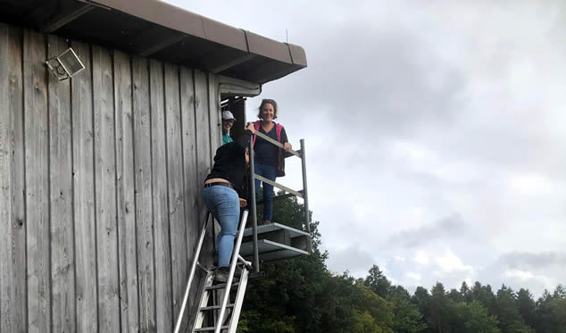 Forschungsgruppe Equiden