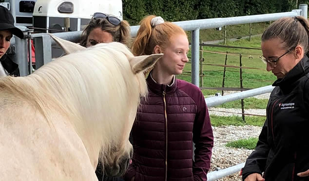 Forschungsgruppe Equiden