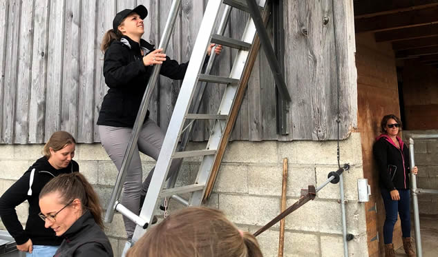 Forschungsgruppe Equiden